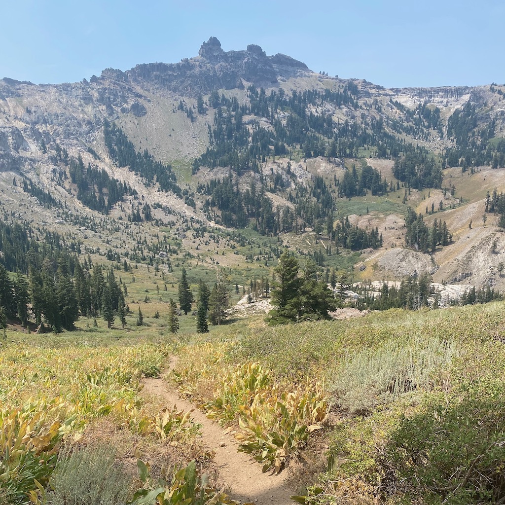 A view from the trail at Castle Peak 100K 2021