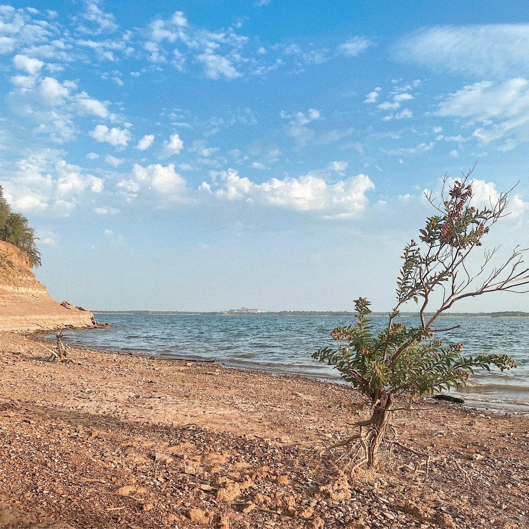 Lake Grapevine