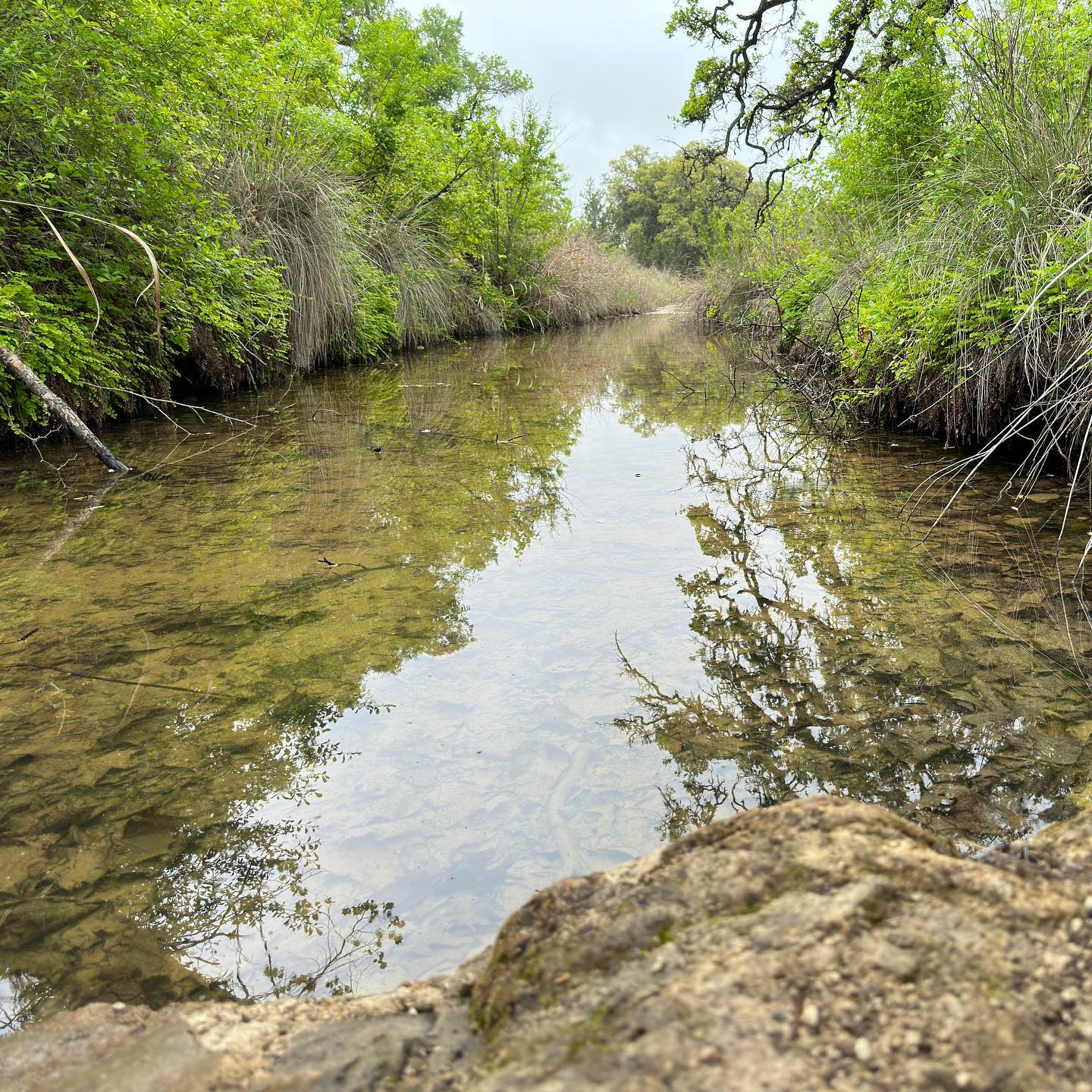 Creek in the Balcones Canyonlands National Wildlife Refuge, 2023